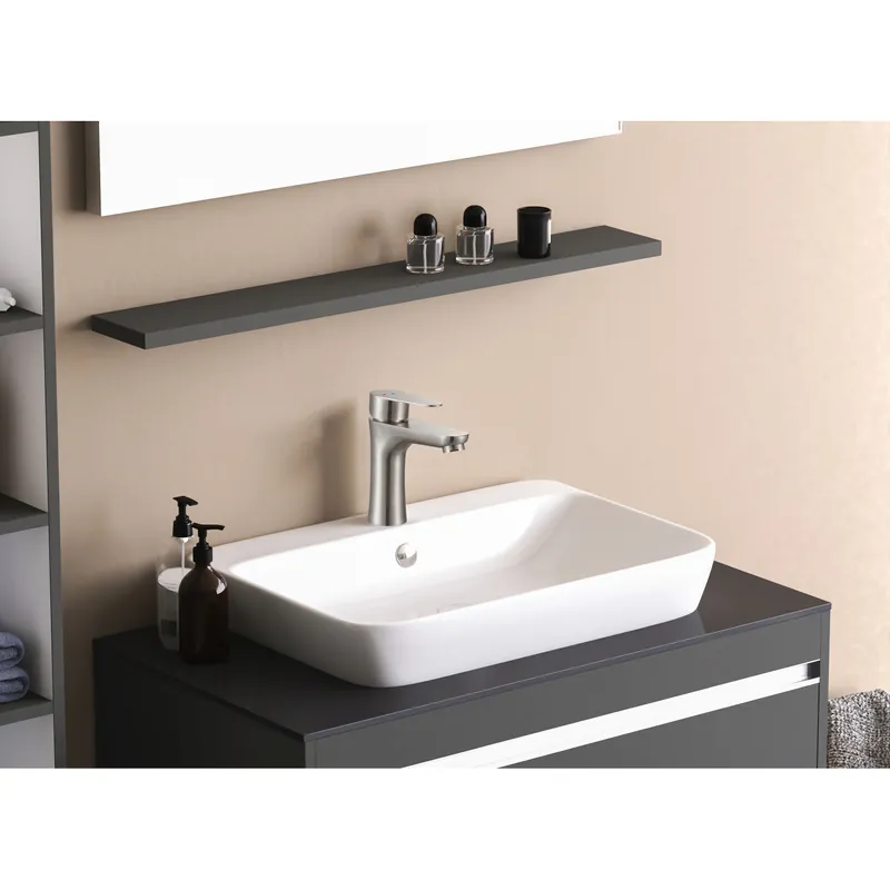 Mitigeur lavabo ONABI - inox | Cette semaine uniquement