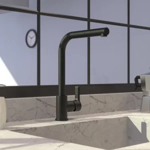 Disponible dès maintenant | Mitigeur évier avec douchette GOODLIFE noir mat