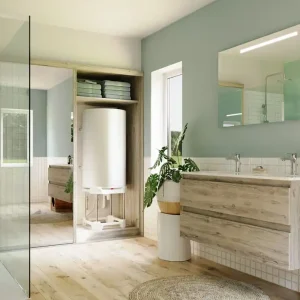Chauffe-eau BAJAWA vertical mural - 150l - Disponible