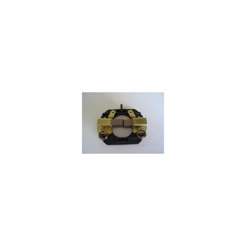Prix bas - Dewalt N384037﻿ Charbons + Support pour Perforateur DCH143, DCH243, DCH253, DCH363, DCH364